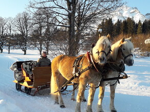 Pferdeschlittenfahrt am Kielerhof | © Kielerhof