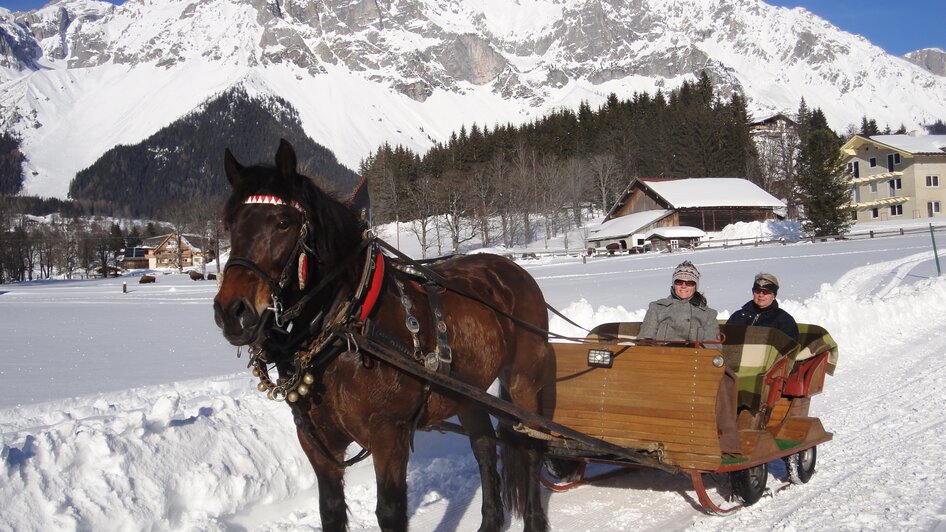 Horse Drawn Sleigh Rides Kielerhof - Impression #2.1