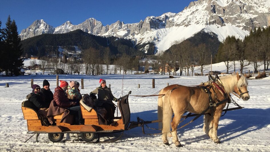 Horse Drawn Sleigh Rides Kielerhof - Impression #2.2