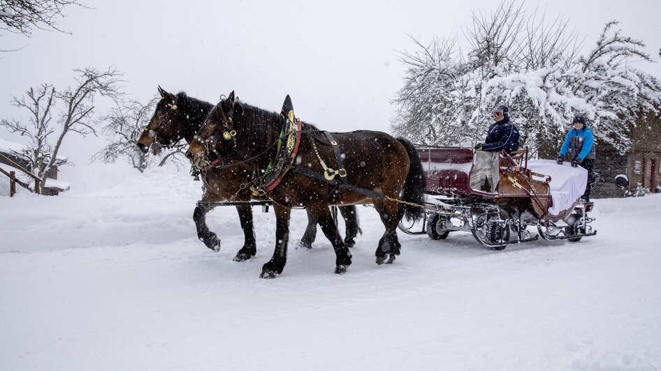 Horse Drawn Sleigh Rides Peterbauerhof - Impression #2.2