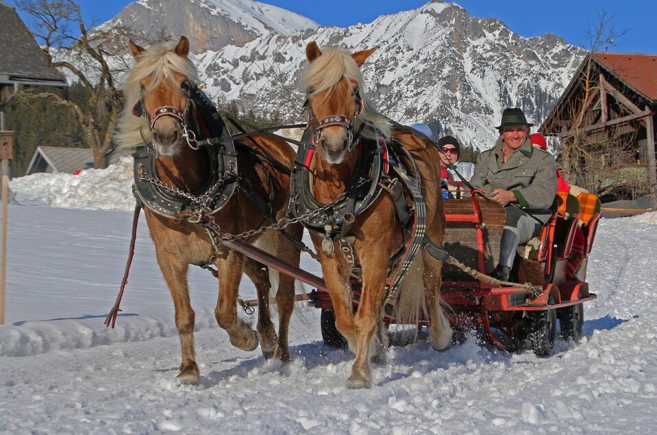 Pferdeschlittenfahrten Sporthof Austria - Impression #1 | © Sporthof Austria