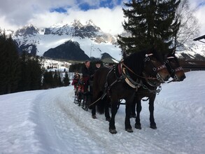 Pferdeschlittenfahrt am Vorberghof | © Vorberghof