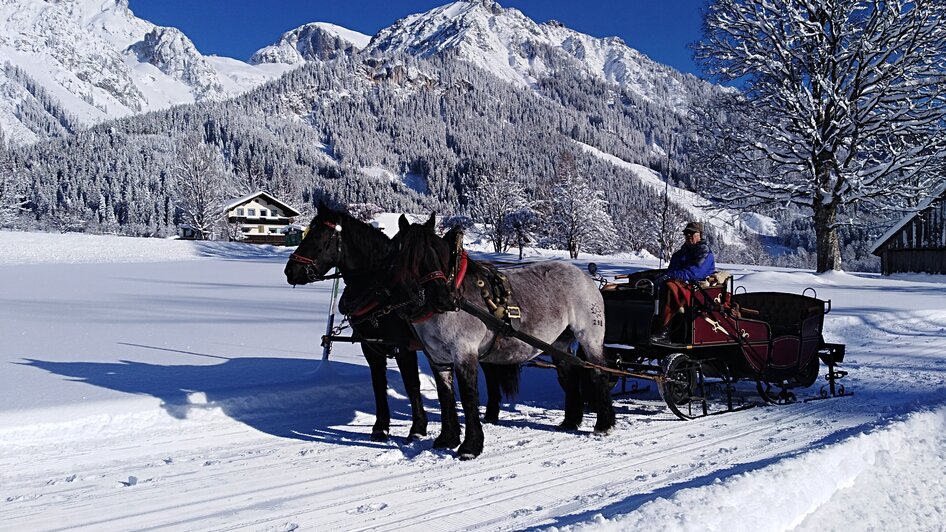 Pferdeschlittenfahrten Wagnerhof - Impression #2.4 | © Wagnerhof