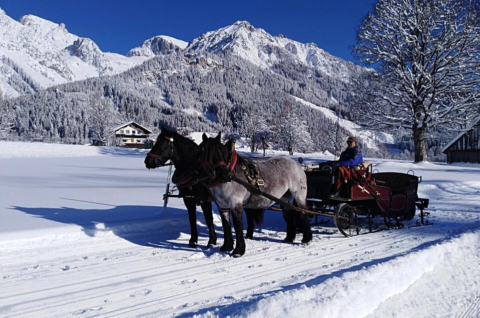 Horse Drawn Sleigh Rides Wagnerhof - Impression #1