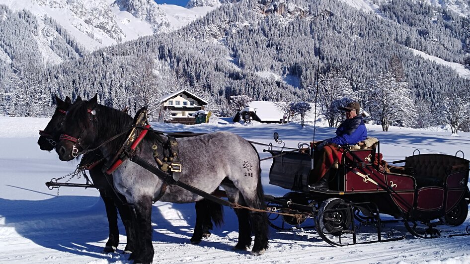 Pferdeschlittenfahrten Wagnerhof - Impression #2.1 | © Wagnerhof