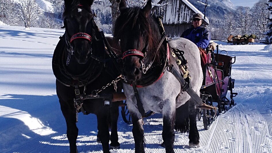 Horse Drawn Sleigh Rides Wagnerhof - Impression #2.2