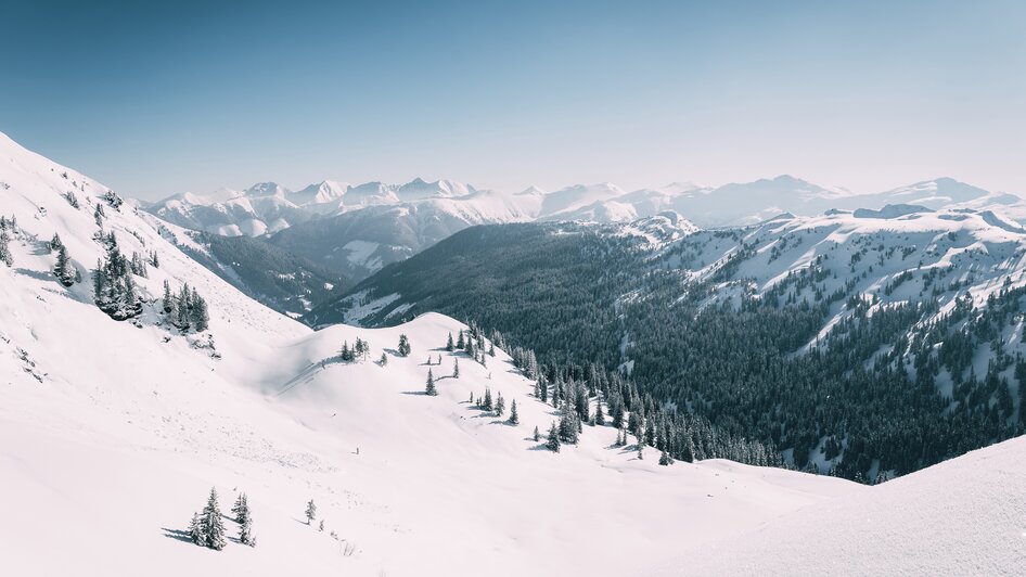 Planneralm - Impression #2.2 | © Armin Walcher