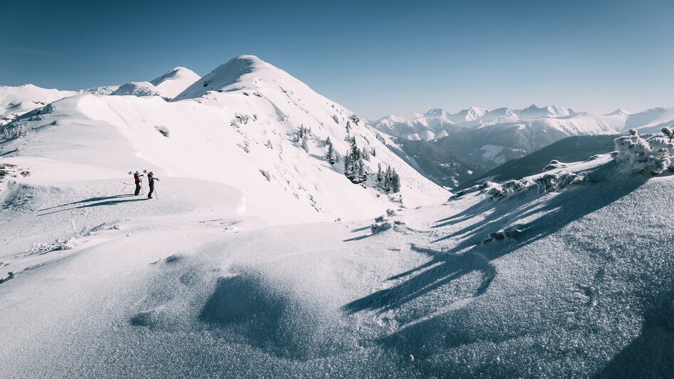 Planneralm - Impression #2.3 | © Armin Walcher