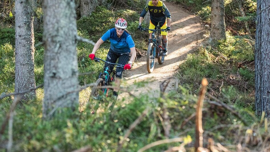 Reiteralm Trails - Impression #2.1