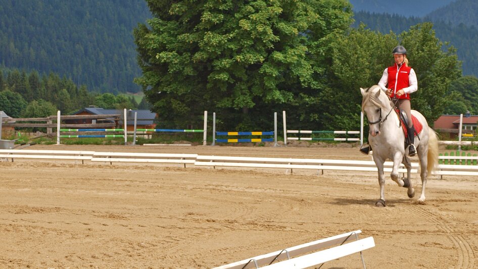 Reiterhof Brandstätter (Riding Stables)  - Impression #2.4