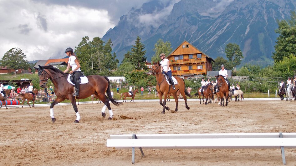 Reiterhof Brandstätter (Riding Stables)  - Impression #2.3