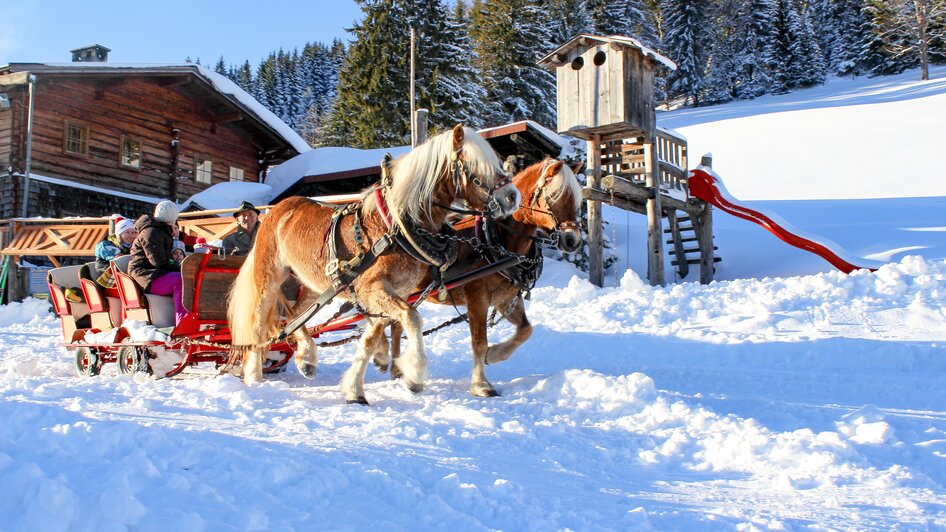 Snowtubing - Rösteralm - Impression #2.18