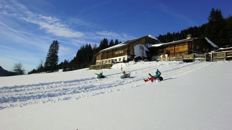 Rösteralm - Impression #2.20 | © Walcher, Stoanerhof