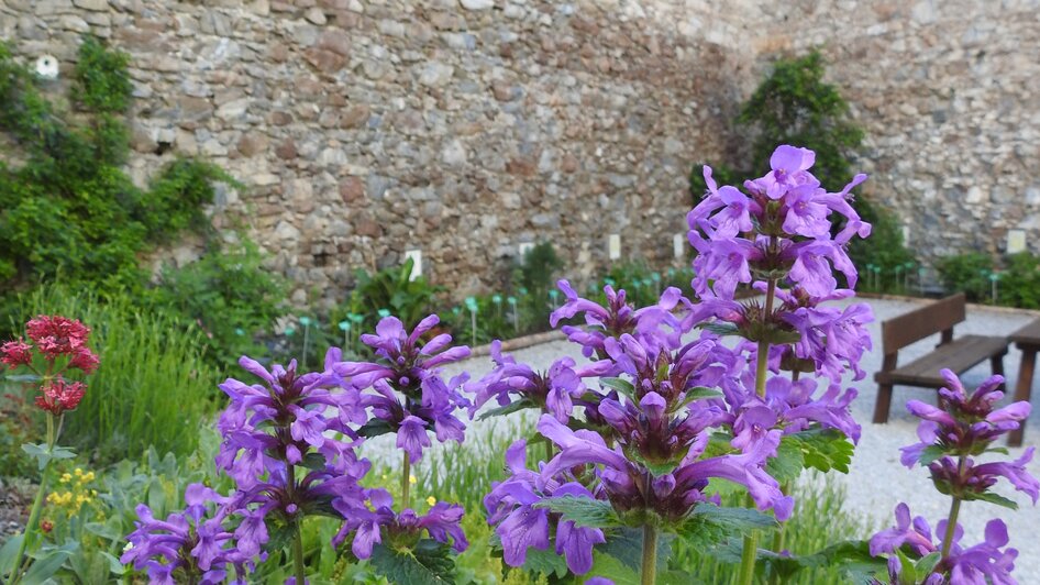 Castle Großsölk with Jesuitgarden - Impression #2.7