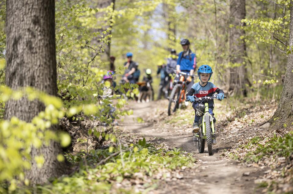 Singletrack Haus-Aich - Impression #1 | © Markus Frühmann/Schneestern