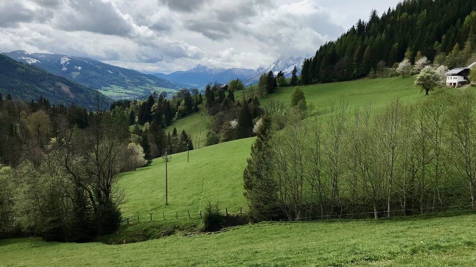 Auf dem Weg zur Stalingradkapelle | © Sabine Schulz Auf dem Weg zur Stalingradkapelle | © Sabine Schulz