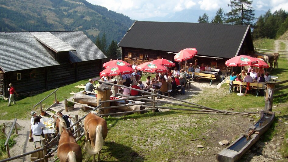 Stiegleralm - Impression #2.1