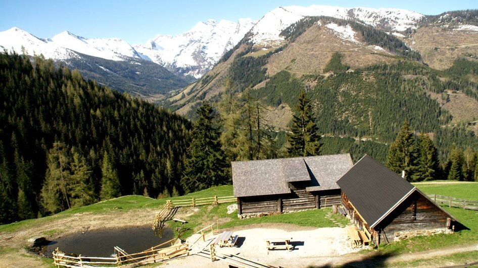 Stiegleralm - Impression #2.2