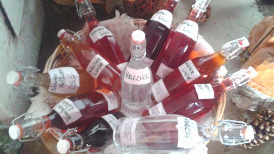 Stiegleralm - Impression #2.3