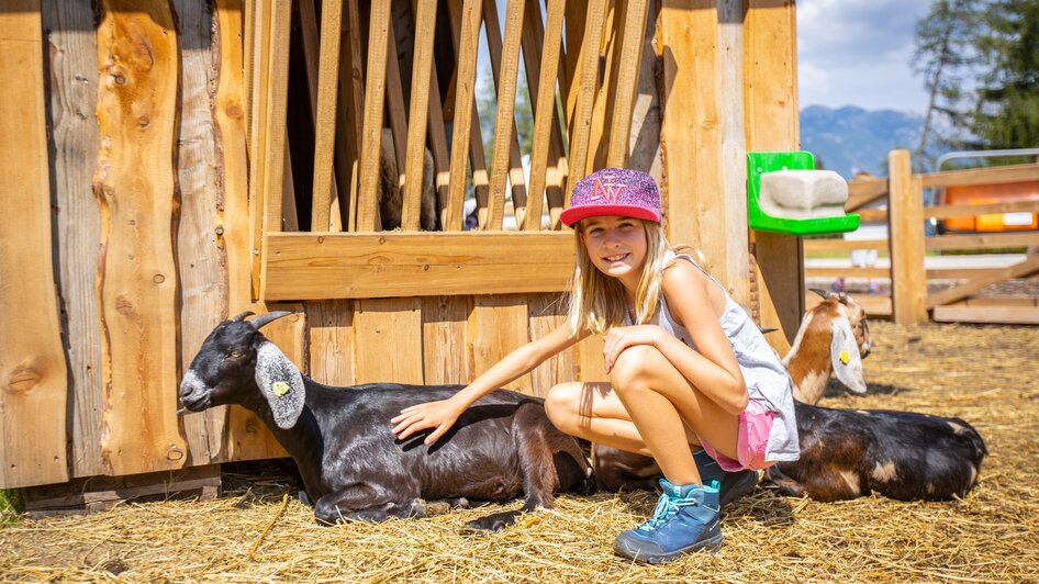 Petting zoo - Impression #2.7