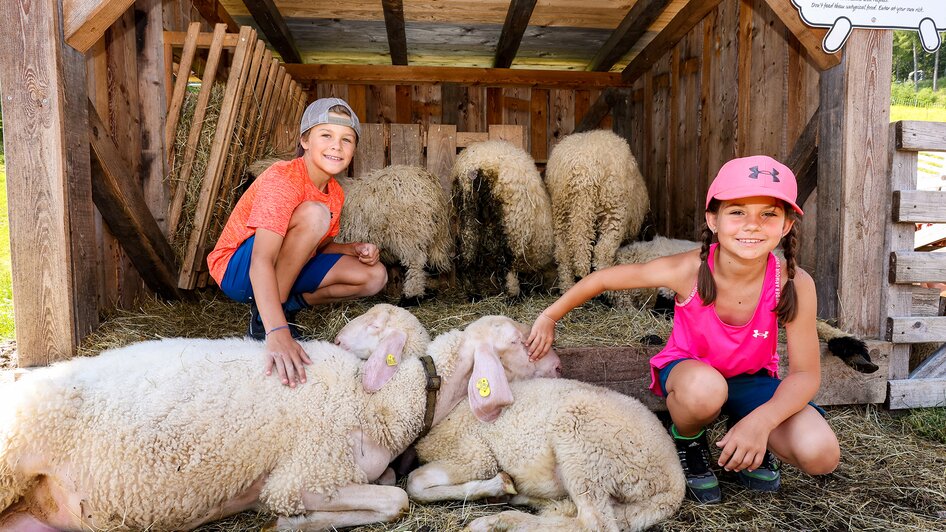Petting zoo - Impression #2.9