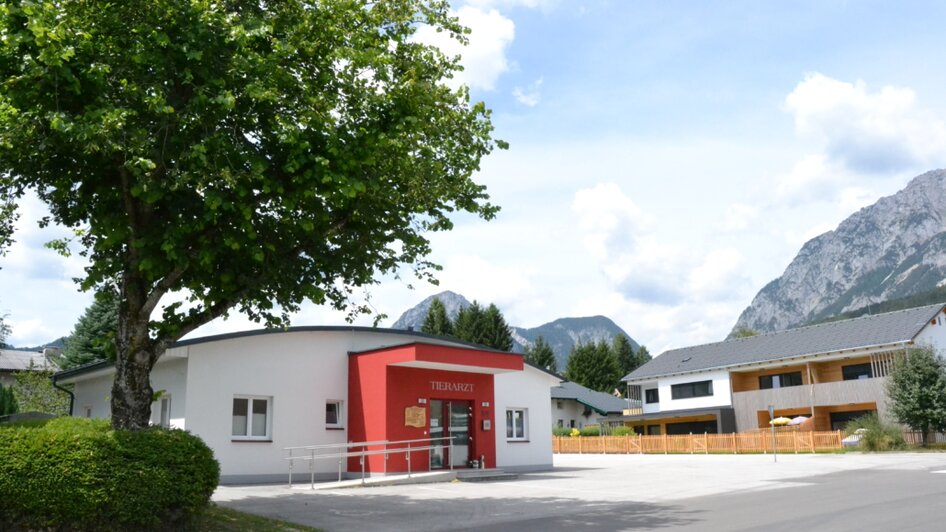 Dr. Gruber - veterinary - Impression #2.1