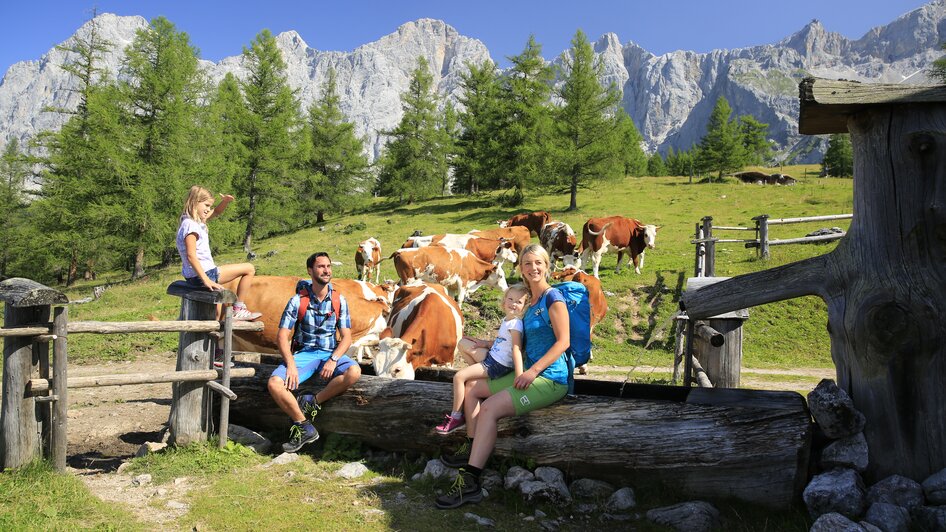 Dachstein-Panorama von der Walcheralm. | © Herbert Raffalt