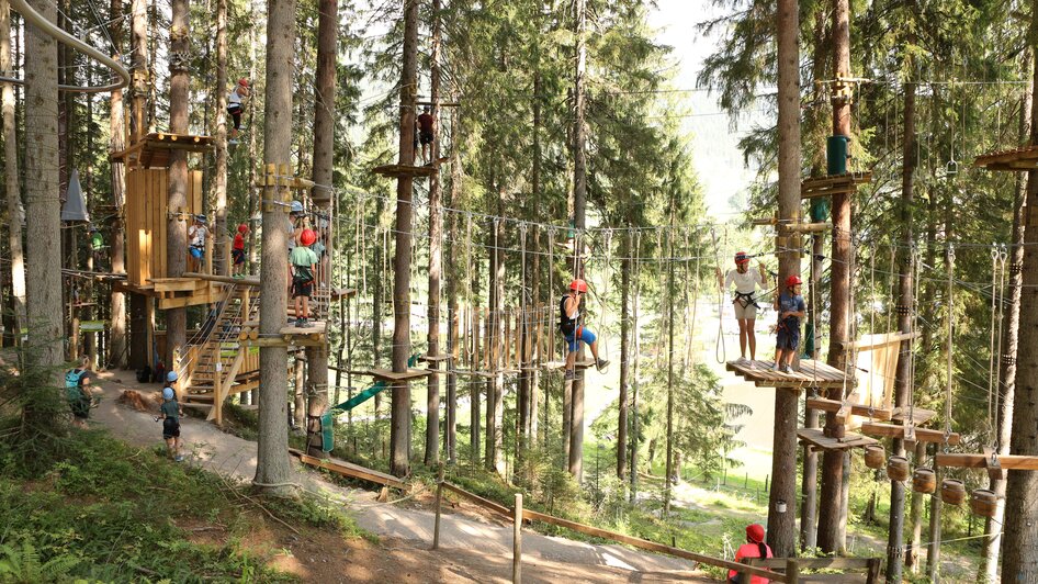 Blick in den Waldhochseilgarten. | © Hans-Peter Steiner