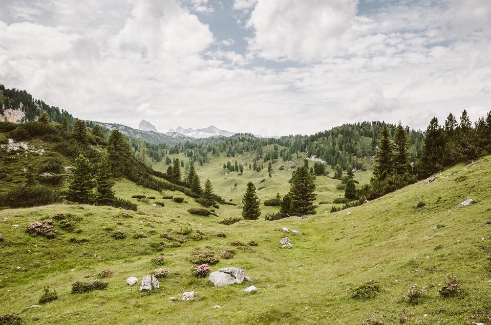 Hiking bus Forstau - Reiteralm - Impression #1