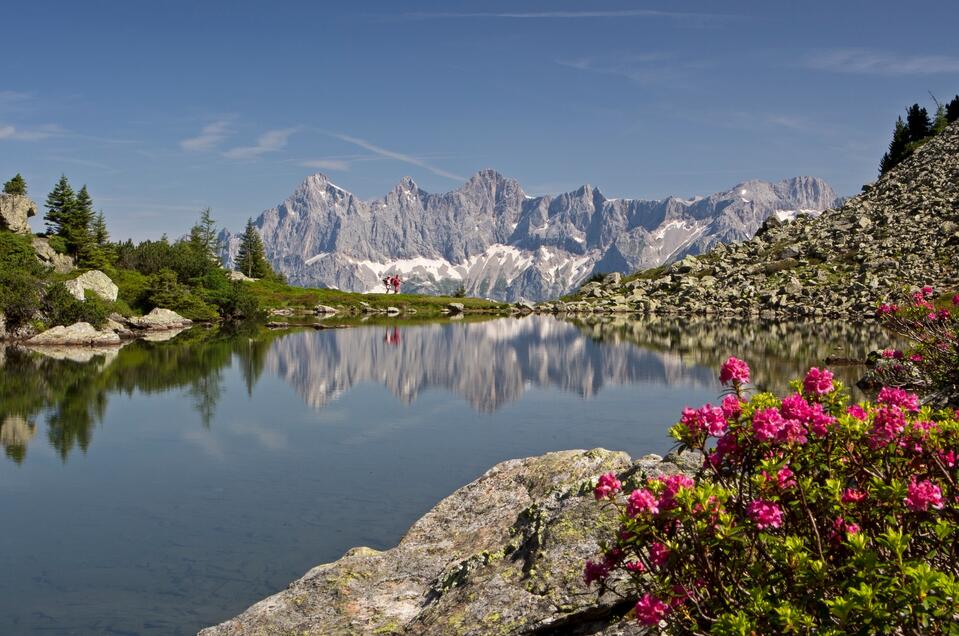 Wanderbus Ramsau-Pichl-Reiteralm - Impression #1 | © Schladming Dachstein/Herbert Raffalt