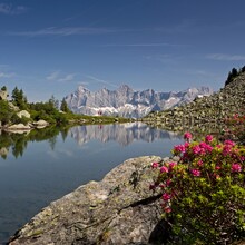 Der Spiegelsee (Mittlerer Gasselsee) auf der Reiteralm | © Schladming Dachstein/Herbert Raffalt