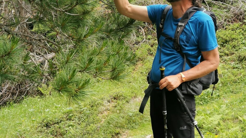 Mountain Guide Norbert Wandl  - Impression #2.1