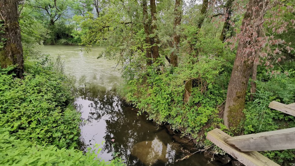 Nahe dem Wasserplatz an der Enns | © Landentwicklung Steiermark