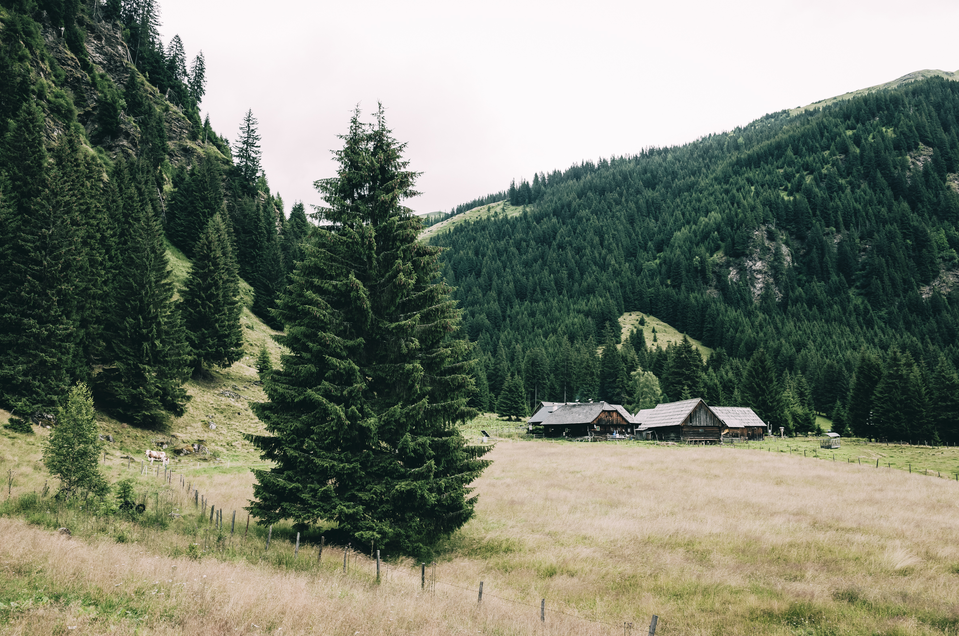 Dankelmayrhütte - Impression #1