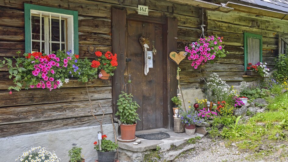 Winkleralm - Impression #2.8 | © Herfried Marek