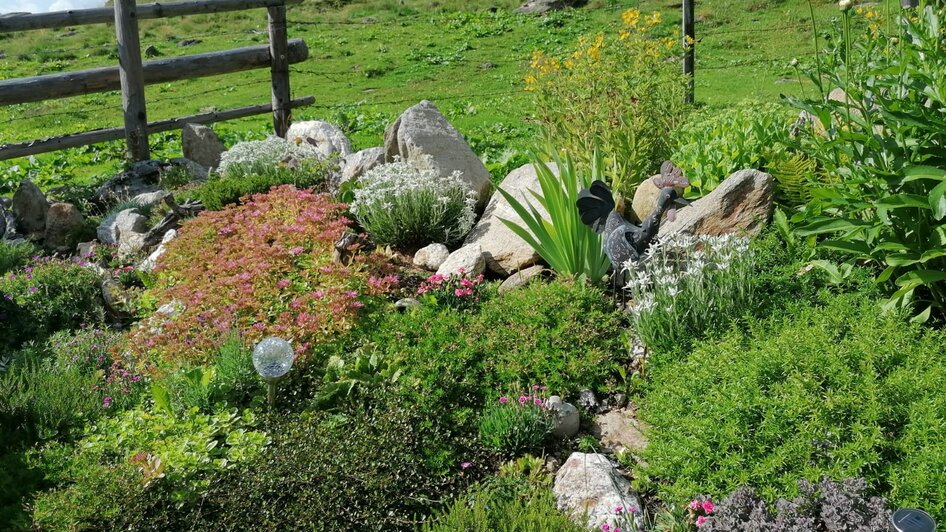 Winkleralm - Impression #2.4 | © Familie Zeiringer