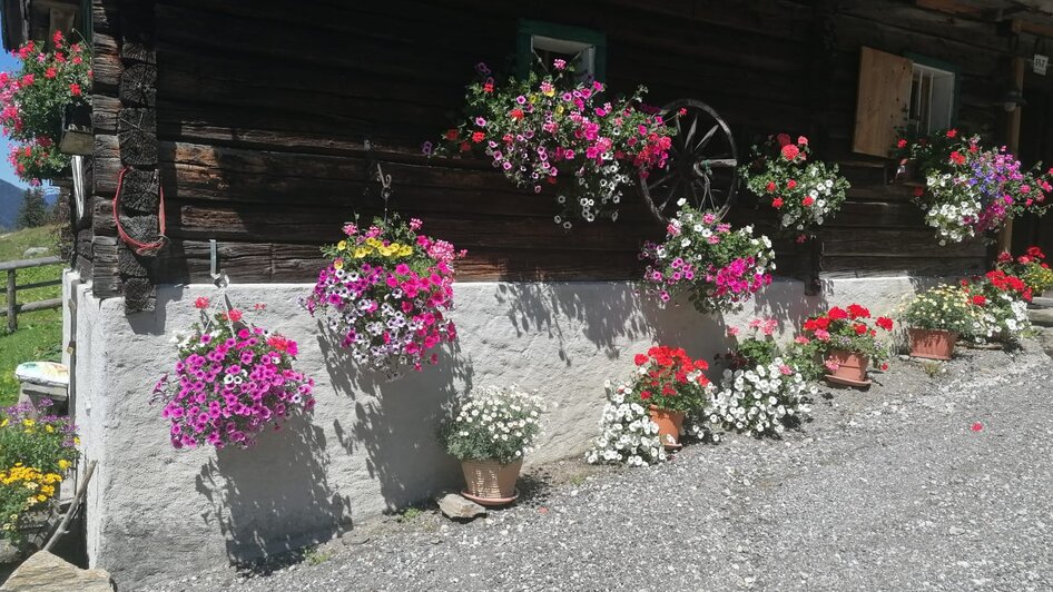 Winkleralm - Impression #2.14 | © Familie Zeiringer